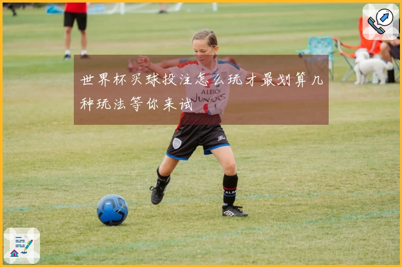 世界杯买球投注怎么玩才最划算几种玩法等你来试