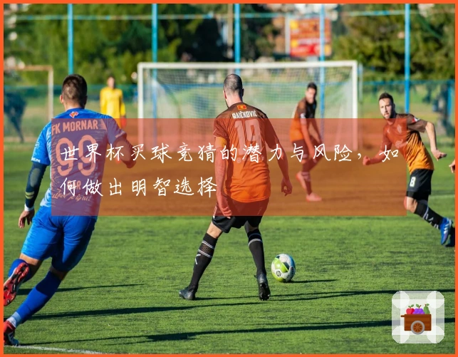 世界杯买球竞猜的潜力与风险，如何做出明智选择