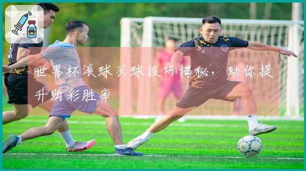 世界杯滚球买球技巧揭秘，助你提升购彩胜率