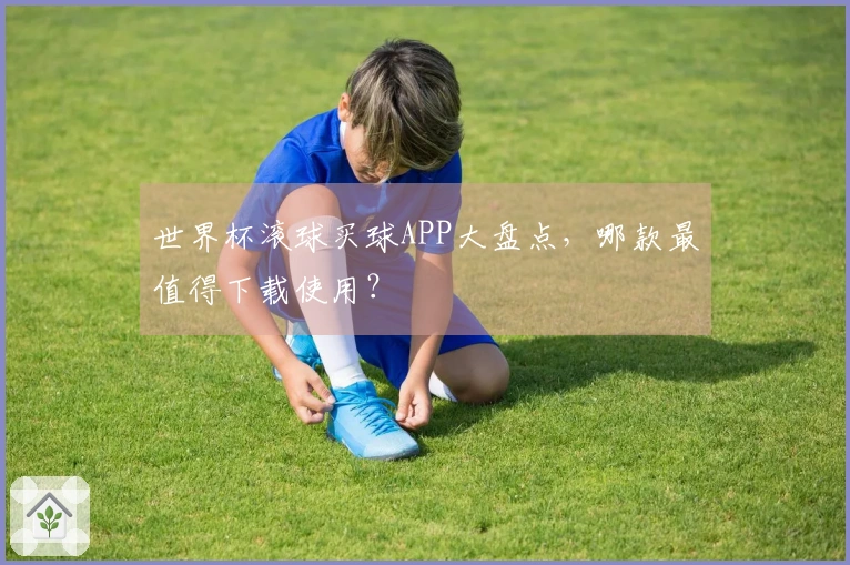 世界杯滚球买球APP大盘点，哪款最值得下载使用？