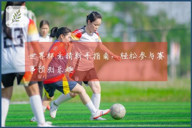 世界杯竞猜新手指南，轻松参与赛事预测乐趣