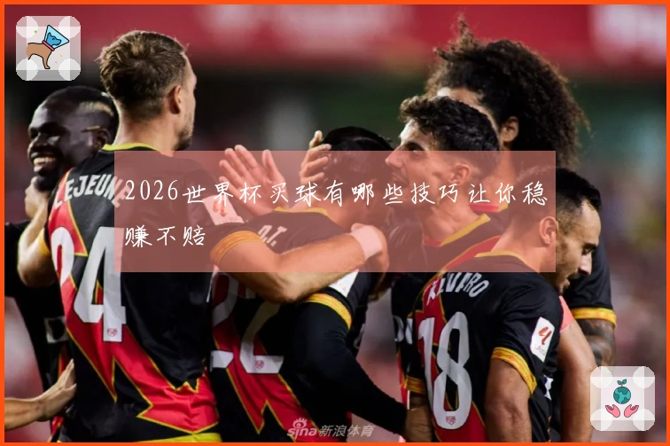 2026世界杯买球有哪些技巧让你稳赚不赔