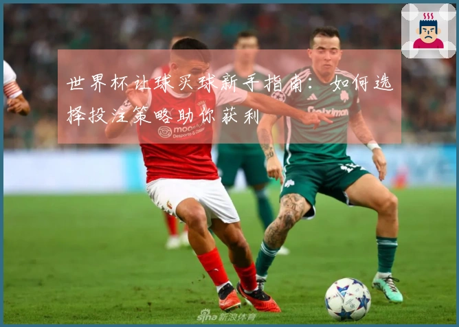 世界杯让球买球新手指南：如何选择投注策略助你获利