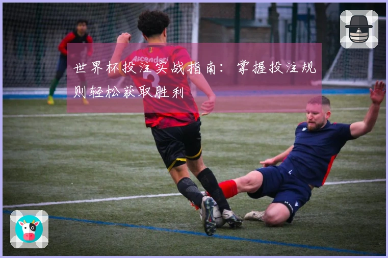 世界杯投注实战指南：掌握投注规则轻松获取胜利