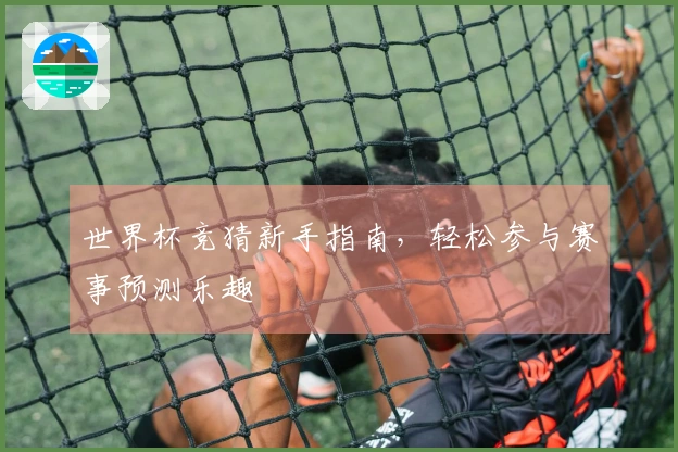 世界杯竞猜新手指南，轻松参与赛事预测乐趣