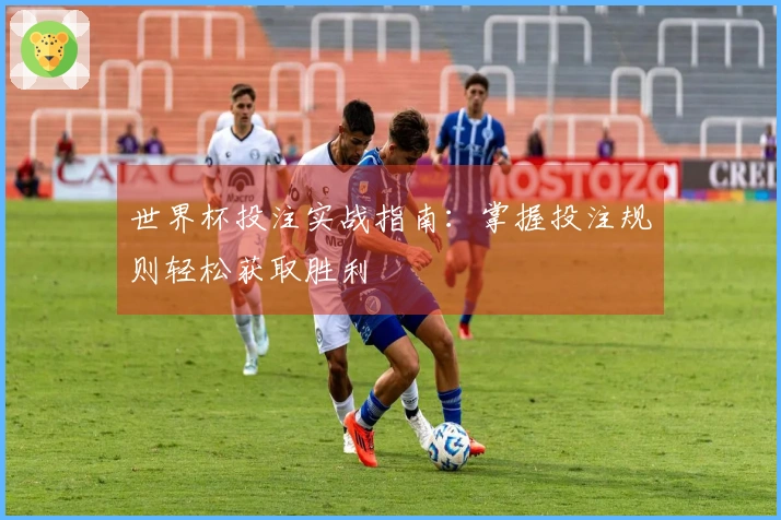 世界杯投注实战指南：掌握投注规则轻松获取胜利