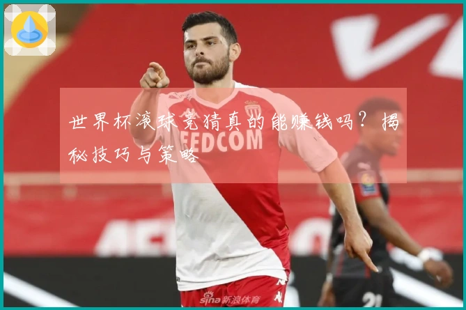 世界杯滚球竞猜真的能赚钱吗？揭秘技巧与策略