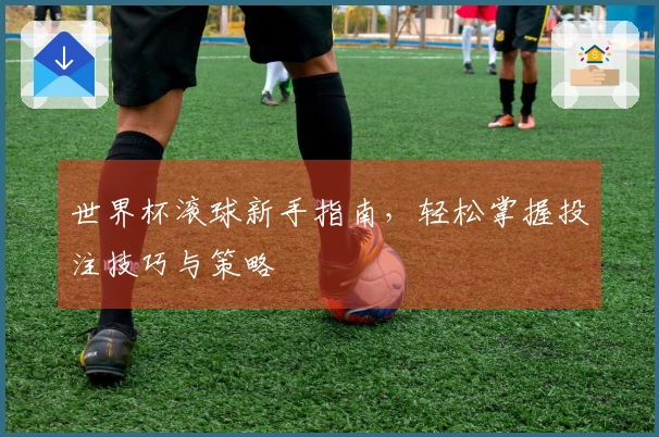 世界杯滚球新手指南，轻松掌握投注技巧与策略