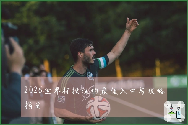 2026世界杯投注的最佳入口与攻略指南