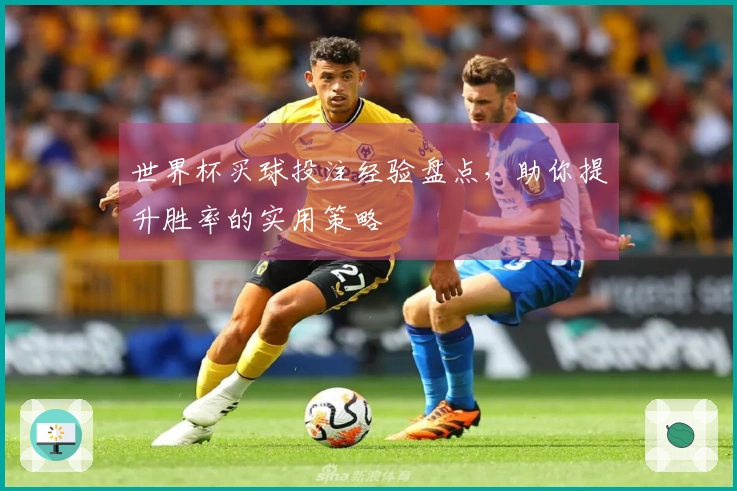 世界杯买球投注经验盘点，助你提升胜率的实用策略